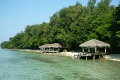 alam-kotok-island-resort